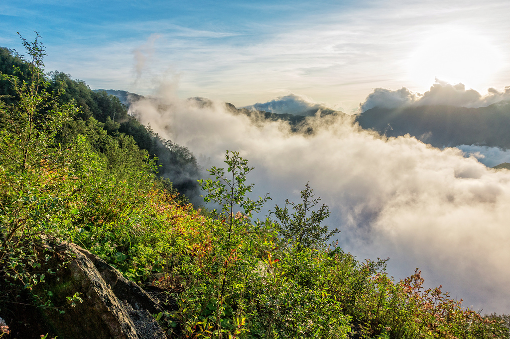 DSC07256-編輯.jpg DSC07256-編輯.jpg