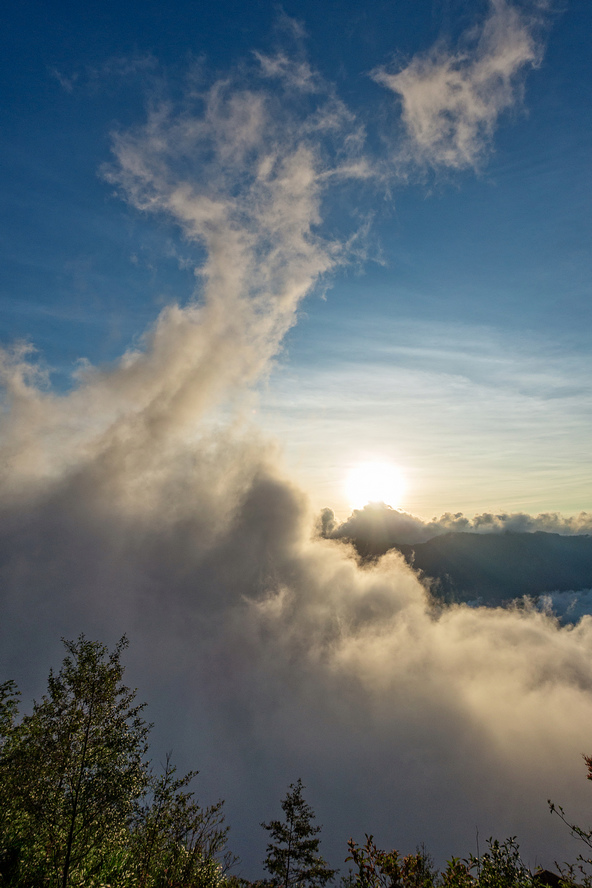 DSC07271-編輯.jpg DSC07271-編輯.jpg