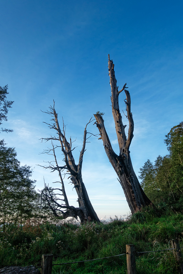 DSC07287-編輯-編輯.jpg DSC07287-編輯-編輯.jpg