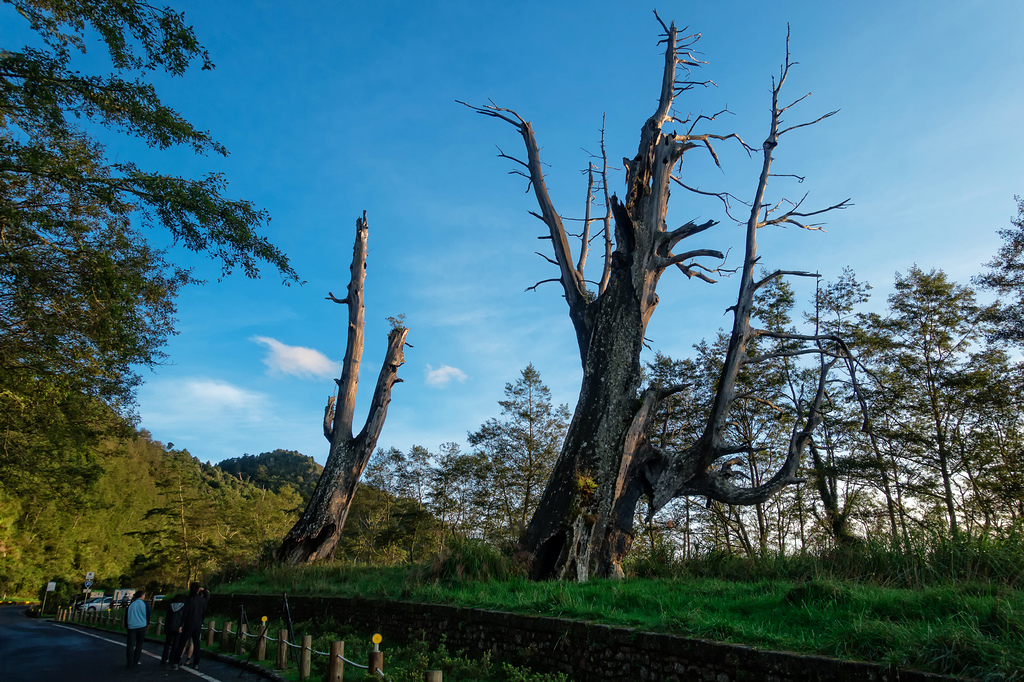 DSC07297-編輯-編輯.jpg DSC07297-編輯-編輯.jpg