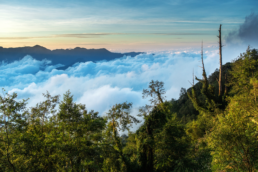 DSC07304-編輯.jpg DSC07304-編輯.jpg