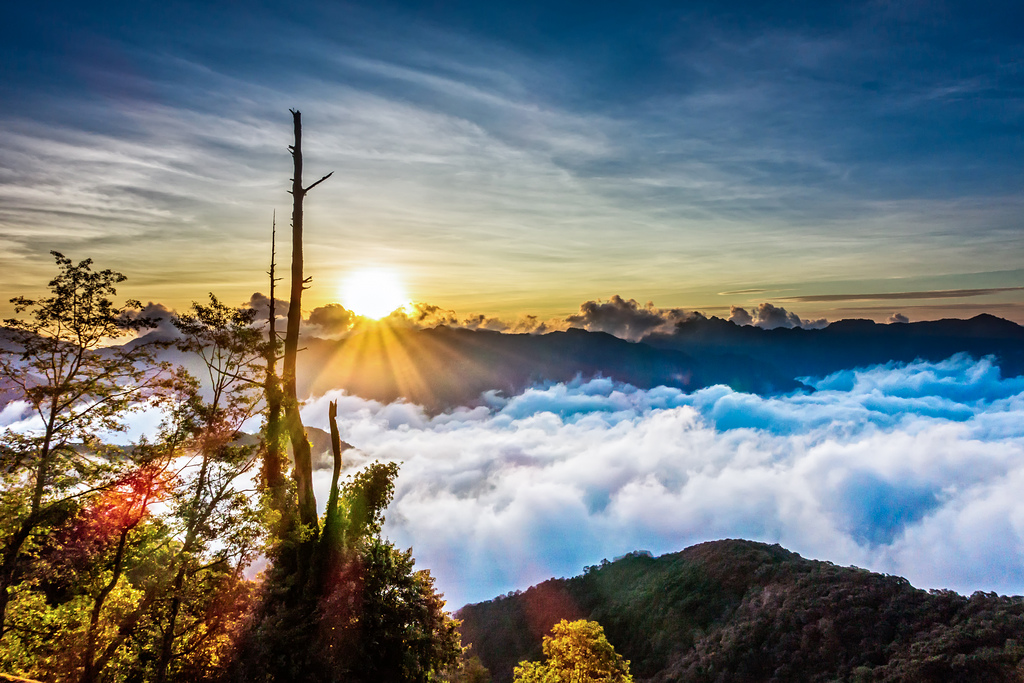 DSC07313-編輯-編輯.jpg DSC07313-編輯-編輯.jpg