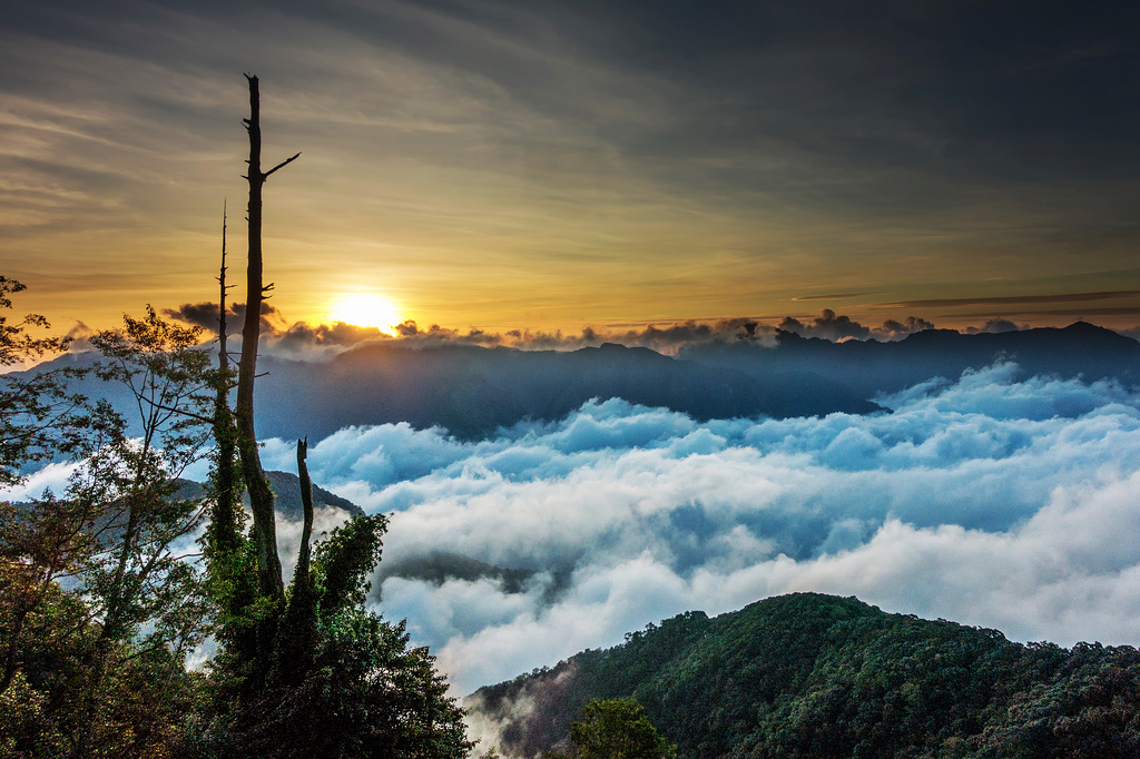 DSC07325-編輯-編輯.jpg DSC07325-編輯-編輯.jpg