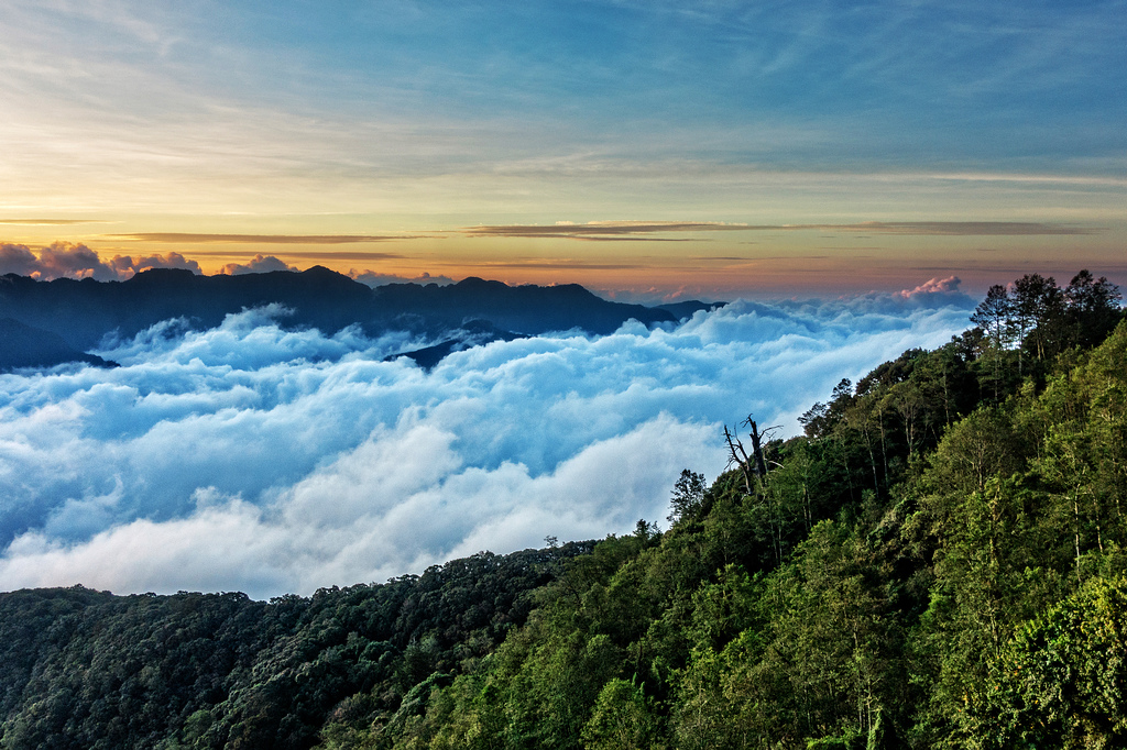 DSC07329-編輯.jpg DSC07329-編輯.jpg