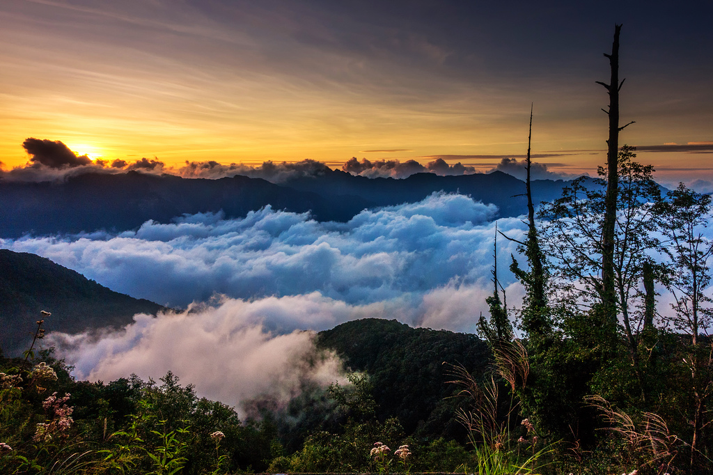 DSC07352-編輯-編輯.jpg DSC07352-編輯-編輯.jpg