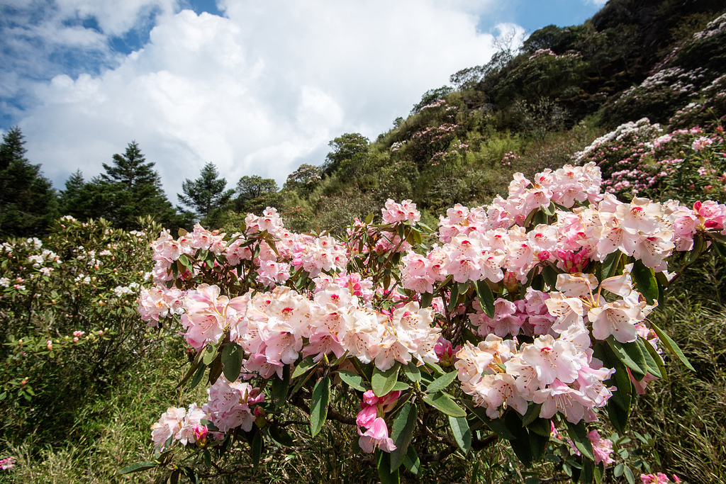 _DSC5409-編輯.jpg