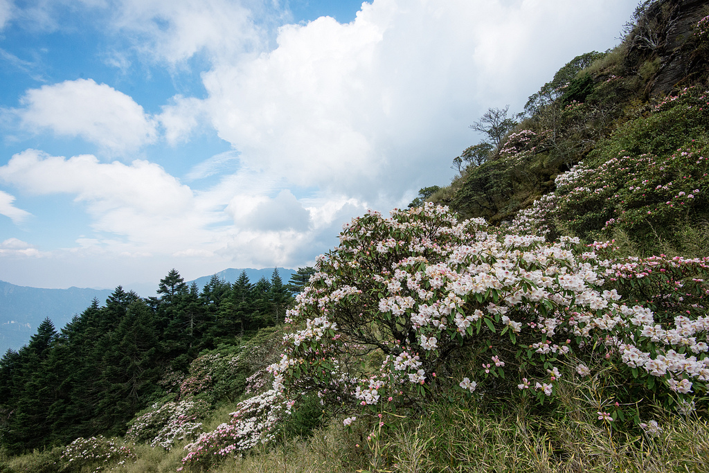 _DSC5424-編輯.jpg