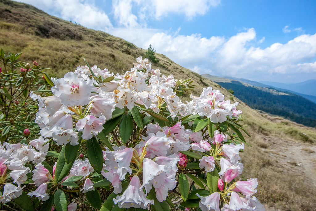 _DSC5402-編輯.jpg