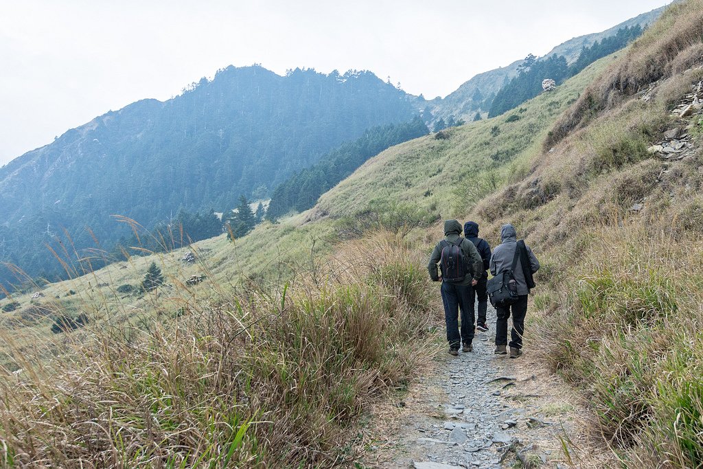 _DSC5243-編輯.jpg _DSC5243-編輯.jpg