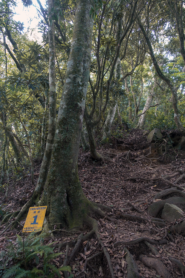 DSC06520.jpg DSC06520.jpg