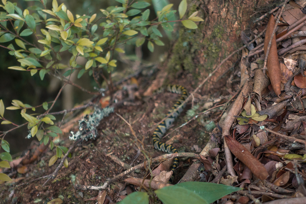 DSC06527.jpg DSC06527.jpg