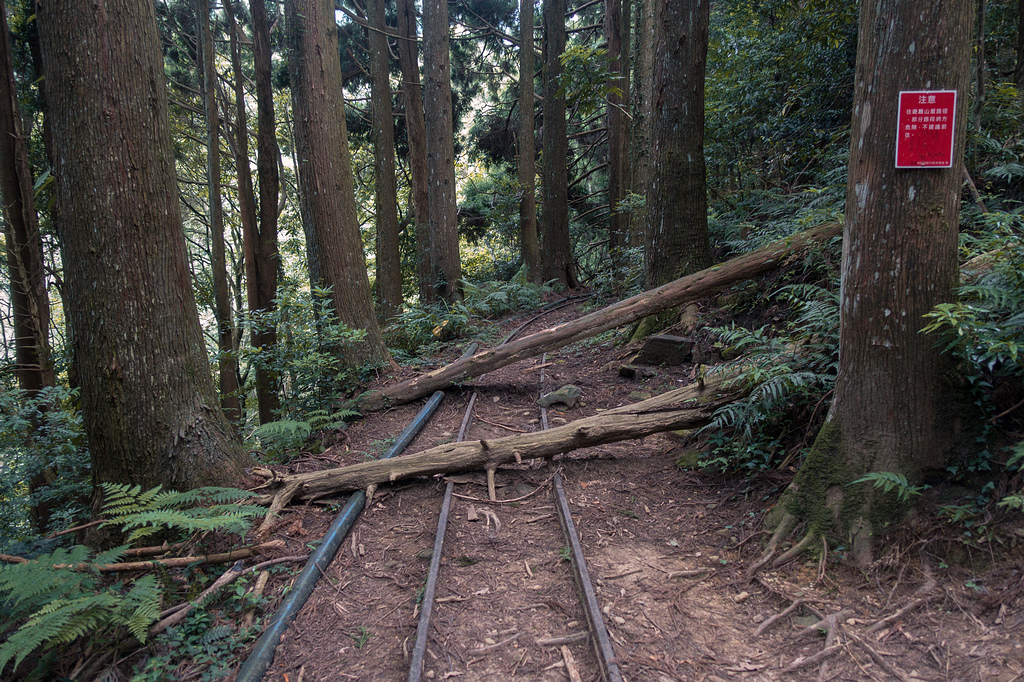 DSC06759.jpg DSC06759.jpg