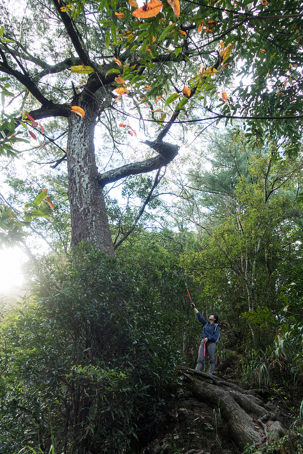 DSC01976.jpg DSC01976.jpg