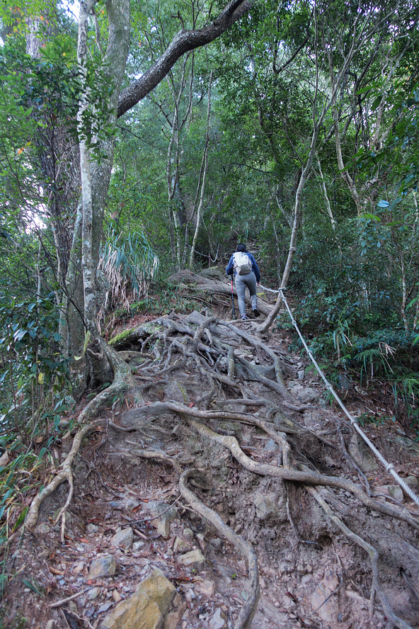 DSC01985.jpg DSC01985.jpg