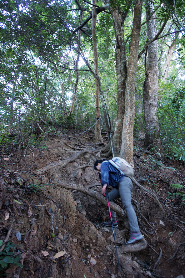 DSC01988.jpg DSC01988.jpg