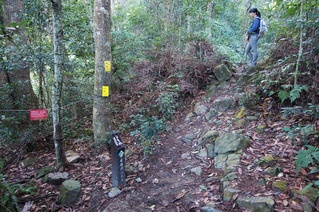 DSC01986.jpg DSC01986.jpg