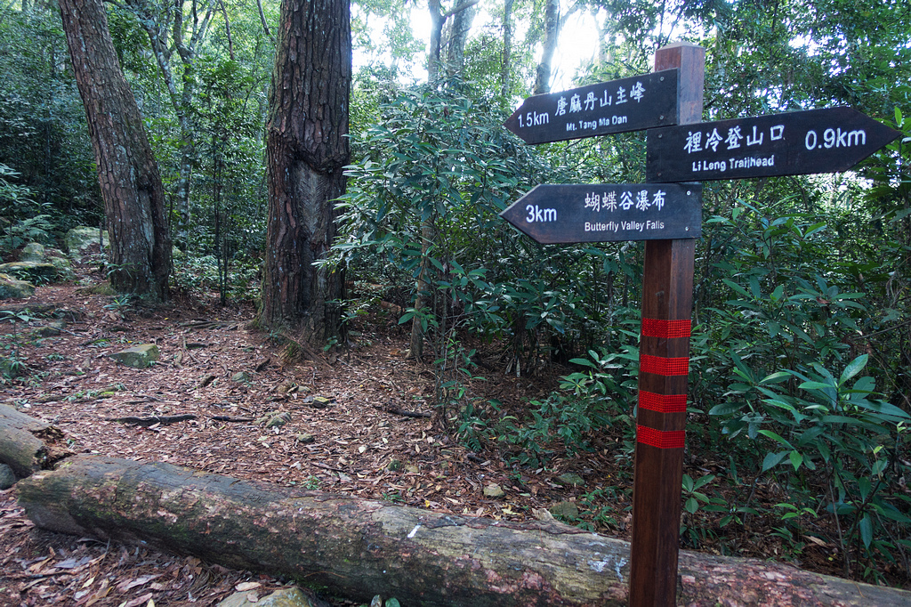 DSC01991.jpg DSC01991.jpg