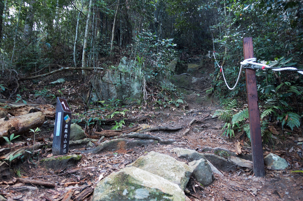 DSC02000.jpg DSC02000.jpg