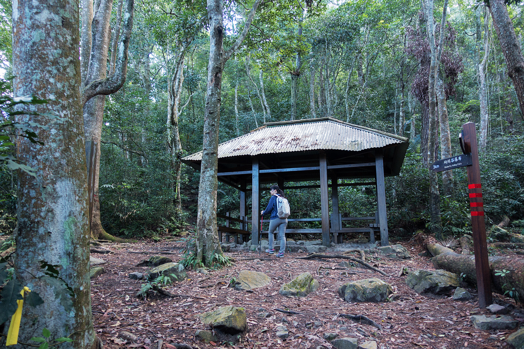 DSC01990.jpg DSC01990.jpg