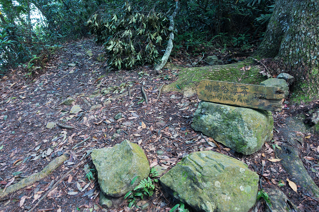 DSC01994.jpg DSC01994.jpg