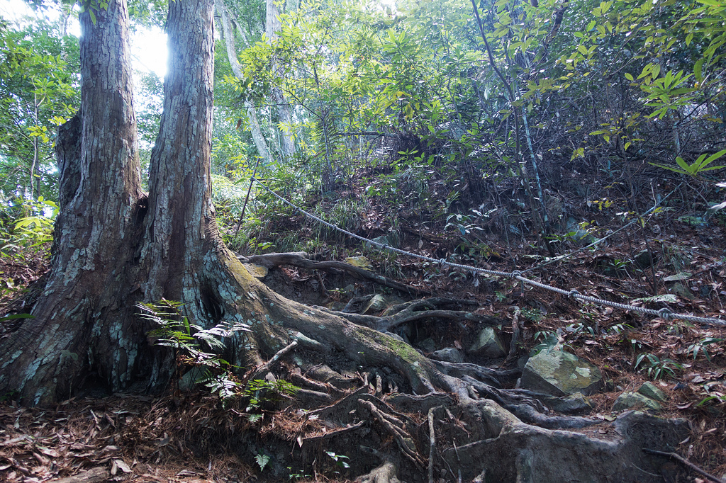 DSC01995.jpg DSC01995.jpg