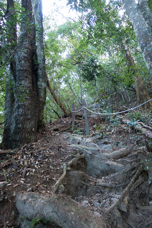 DSC02001.jpg DSC02001.jpg