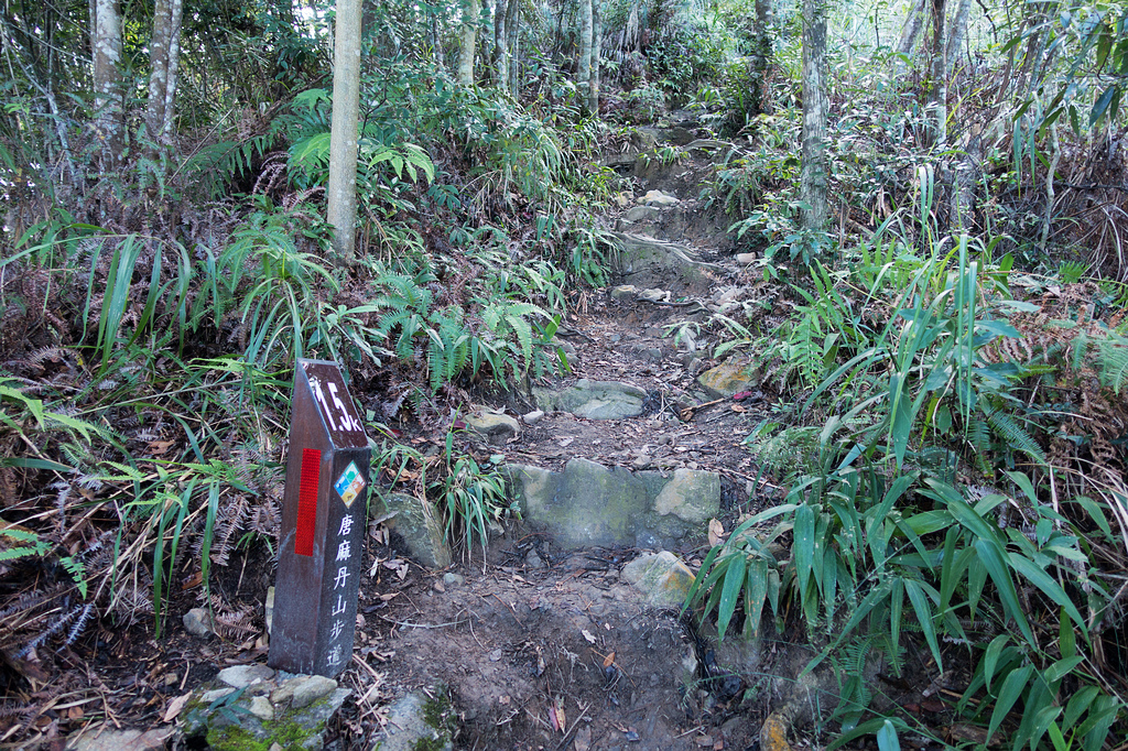 DSC02002.jpg DSC02002.jpg