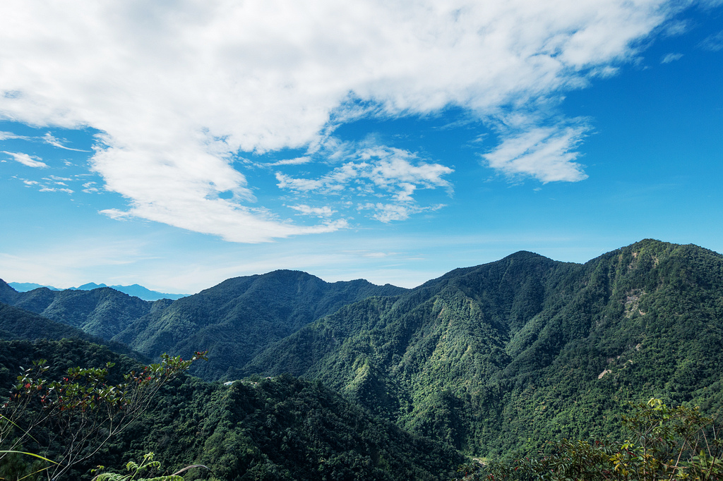 DSC02009.jpg DSC02009.jpg