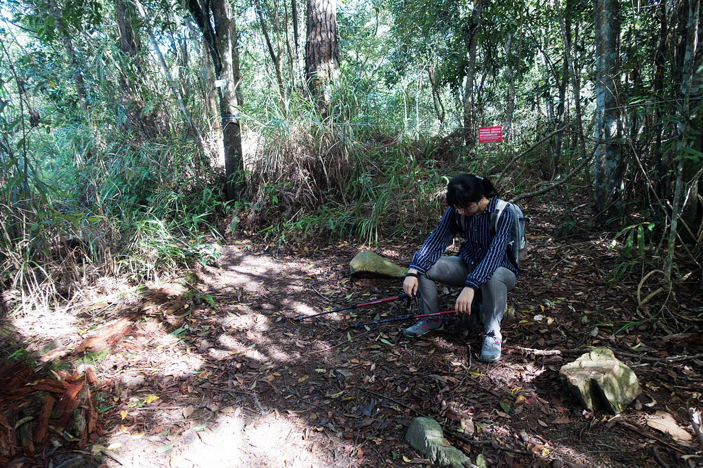 DSC02005.jpg DSC02005.jpg