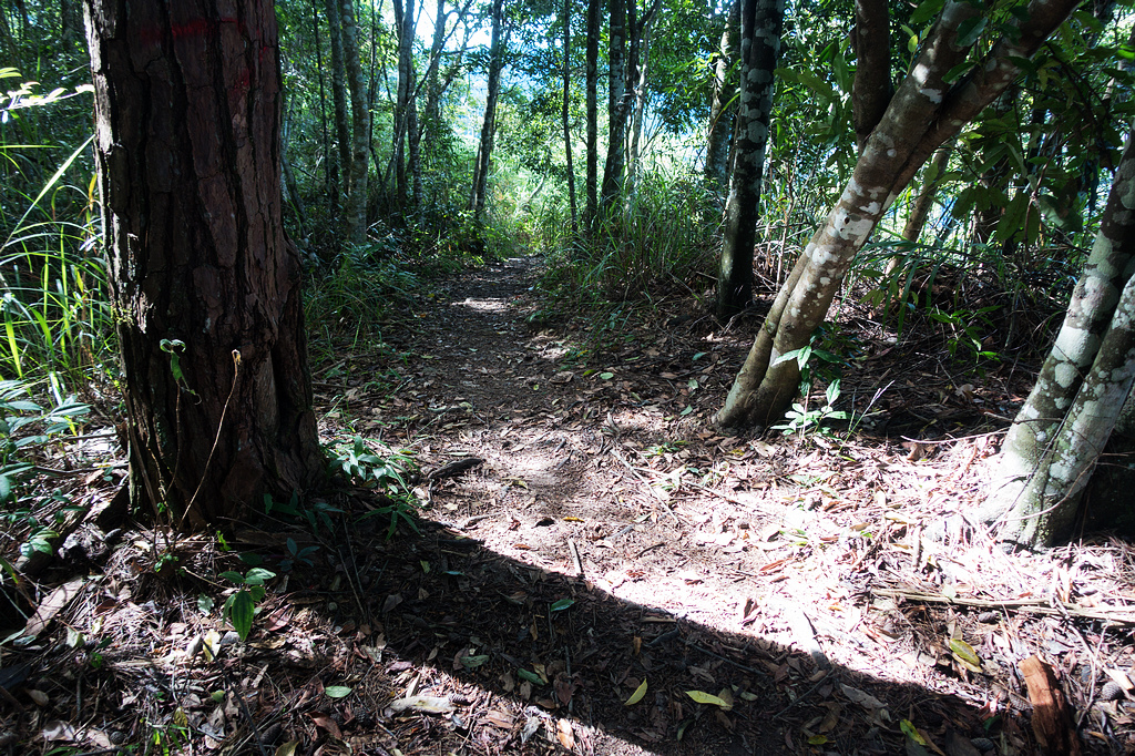 DSC02003.jpg DSC02003.jpg