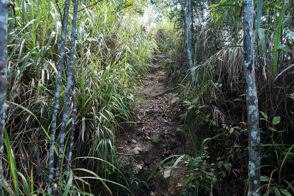 DSC02008.jpg DSC02008.jpg