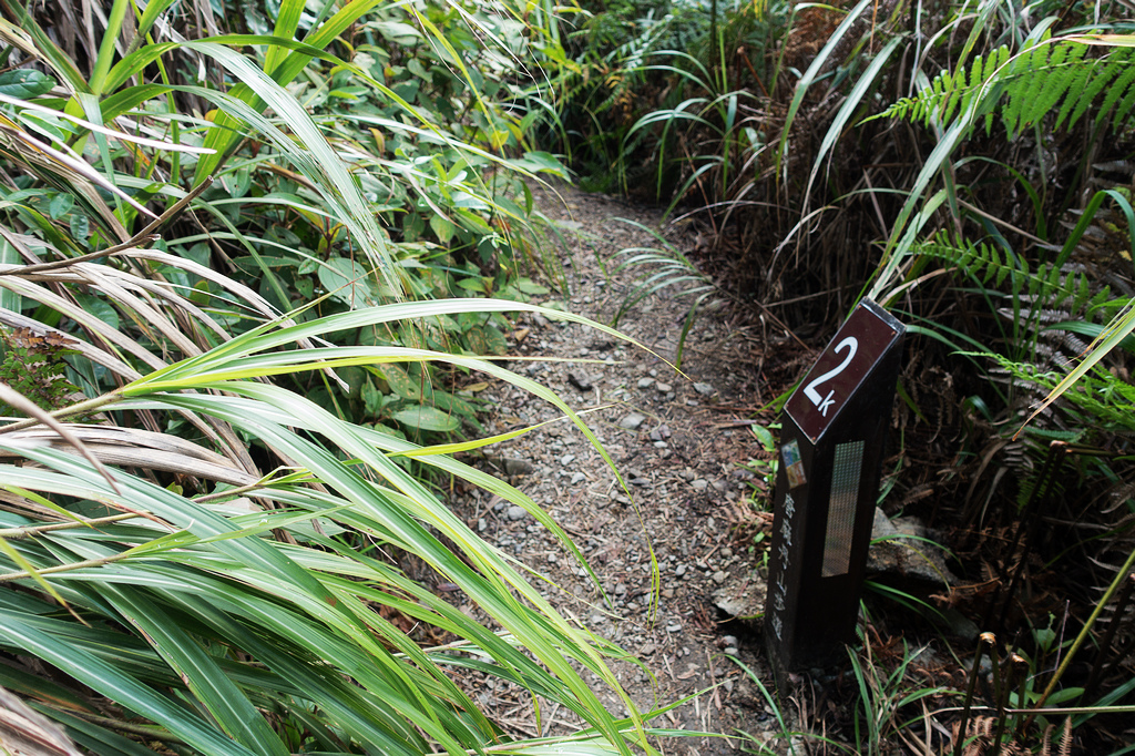 DSC02011.jpg DSC02011.jpg