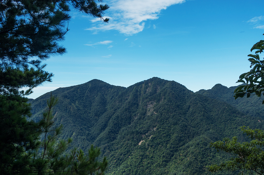 DSC02016.jpg DSC02016.jpg