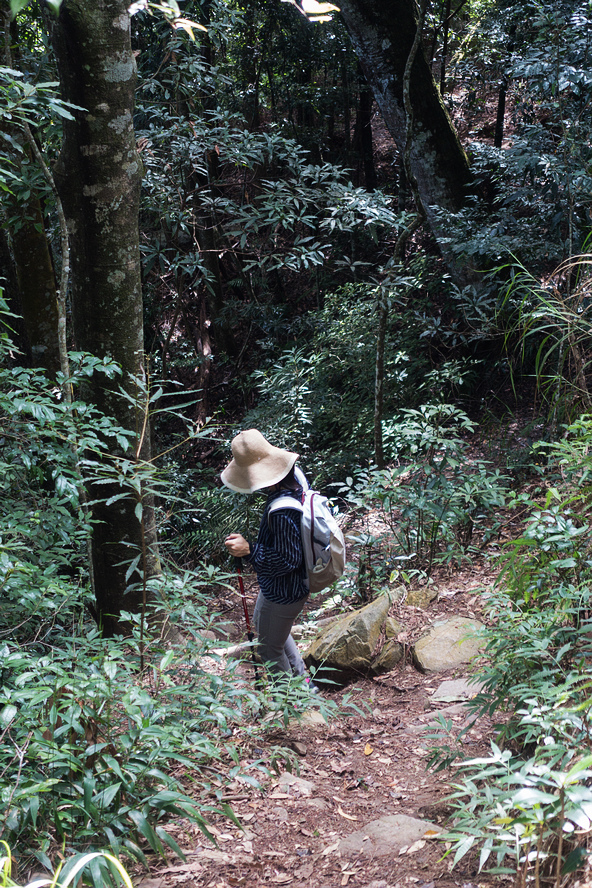 DSC02051.jpg DSC02051.jpg