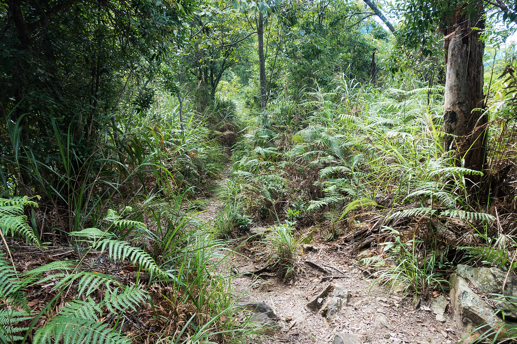 DSC02049.jpg DSC02049.jpg