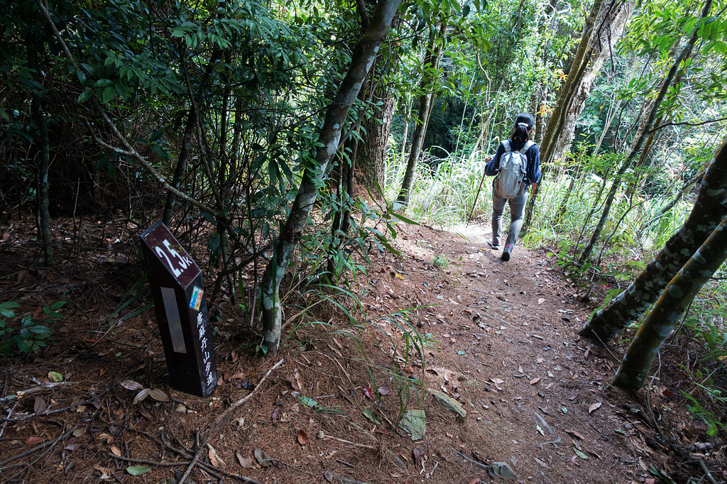 DSC02052.jpg DSC02052.jpg