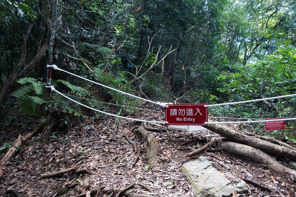 DSC02053.jpg DSC02053.jpg