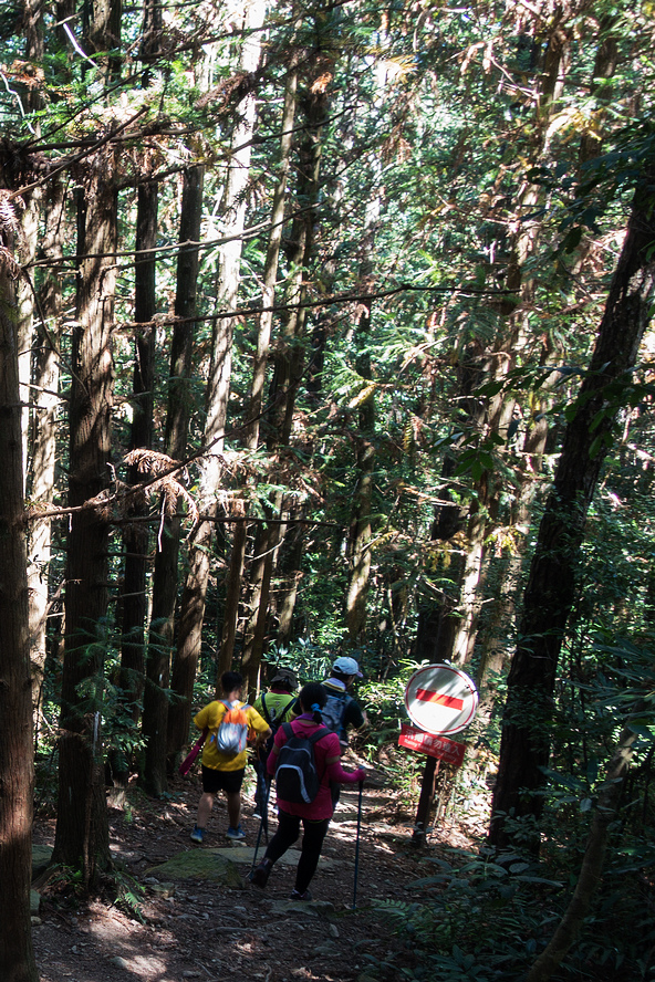 DSC02076.jpg DSC02076.jpg