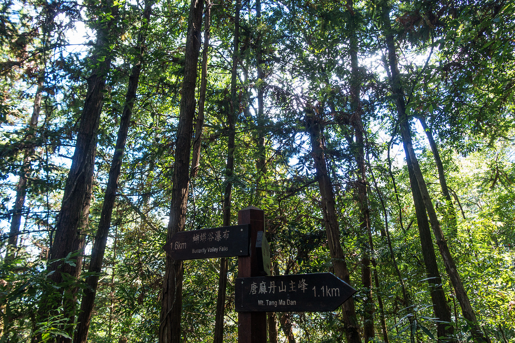 DSC02075.jpg DSC02075.jpg