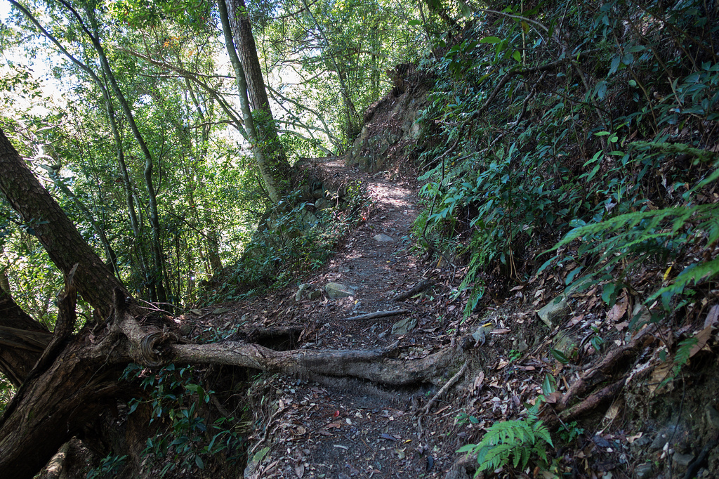 DSC02081.jpg DSC02081.jpg