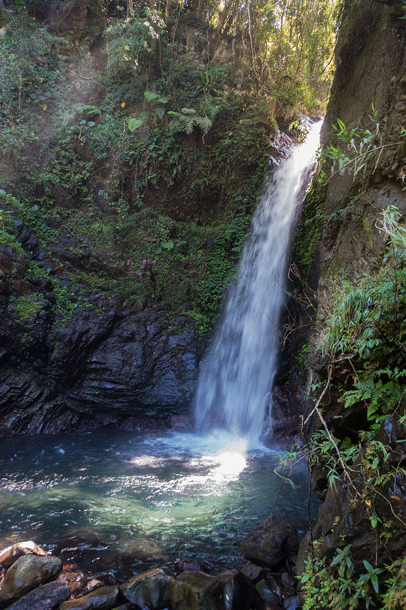 DSC02090.jpg DSC02090.jpg