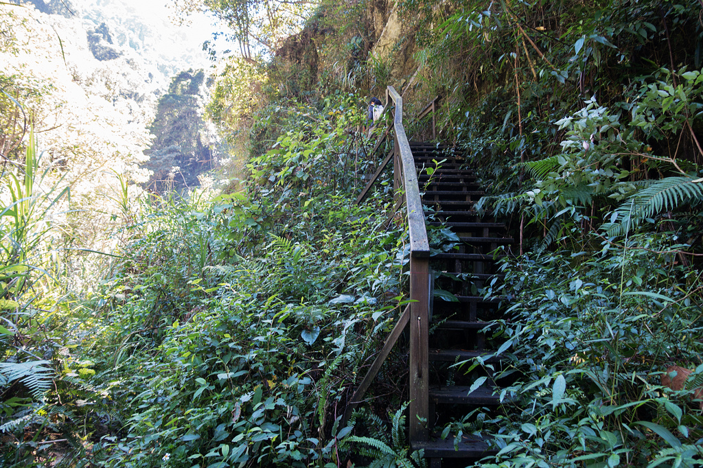 DSC02084.jpg DSC02084.jpg