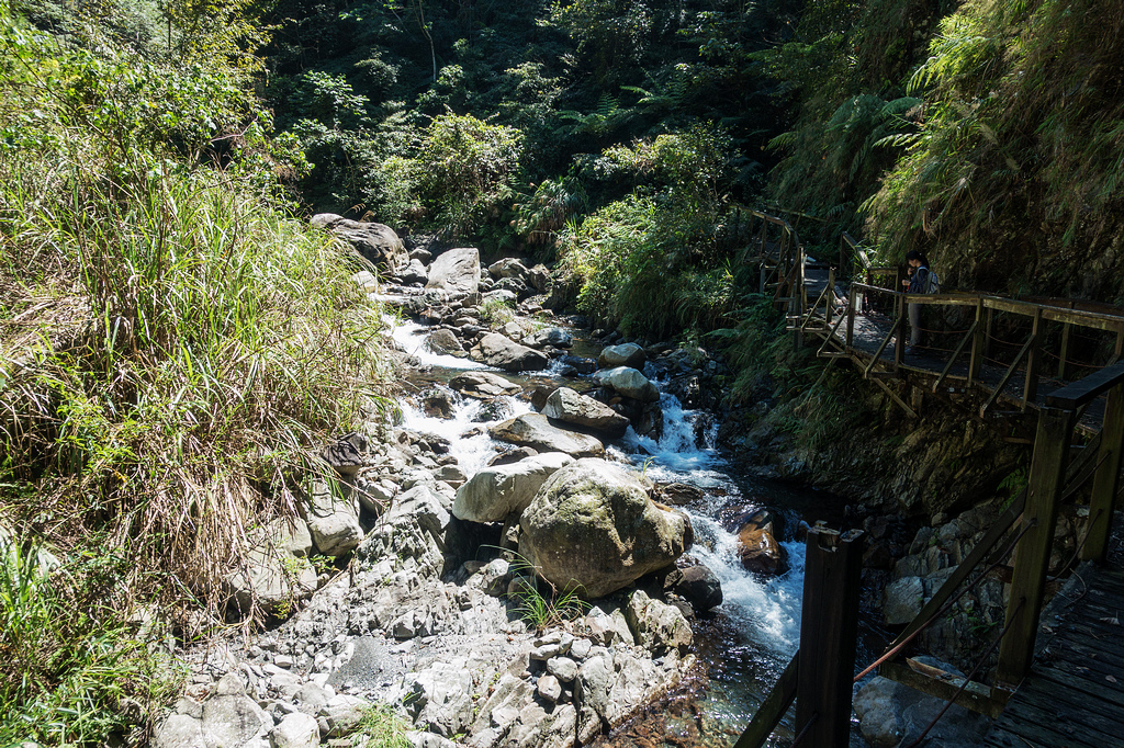 DSC02088.jpg DSC02088.jpg