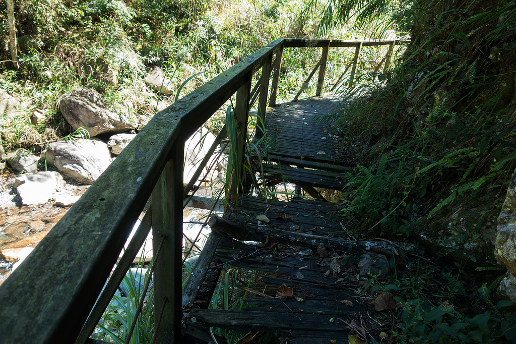 DSC02087.jpg DSC02087.jpg