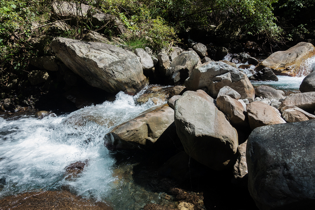 DSC02095.jpg DSC02095.jpg