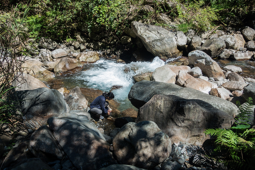 DSC02094.jpg DSC02094.jpg