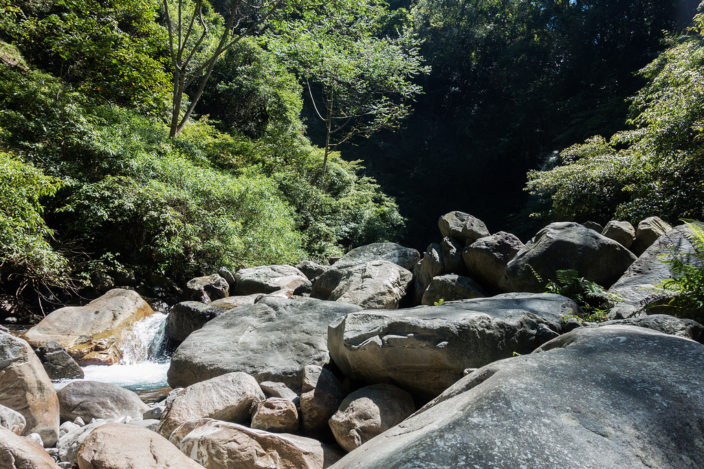 DSC02105.jpg DSC02105.jpg