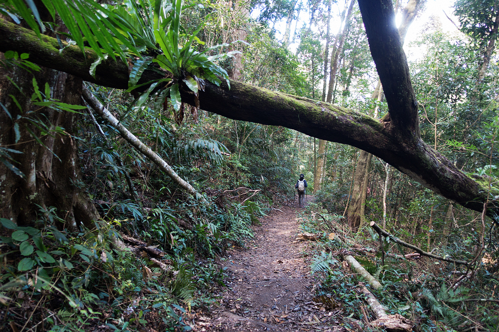 DSC02124.jpg DSC02124.jpg