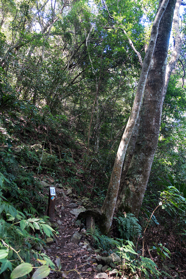 DSC02119.jpg DSC02119.jpg