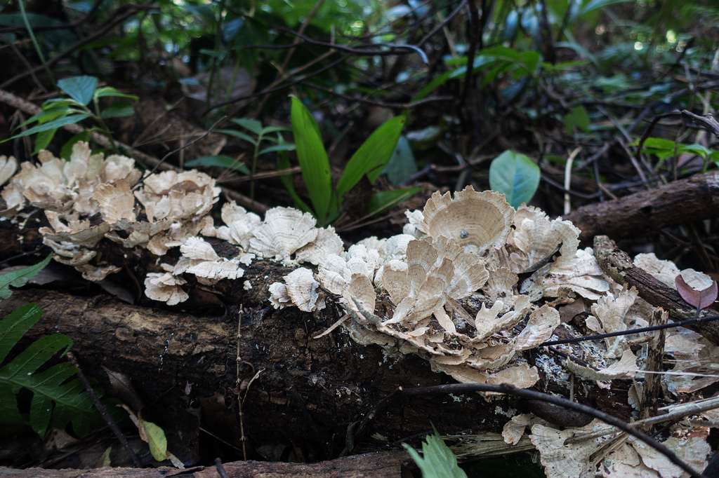 DSC02129.jpg DSC02129.jpg